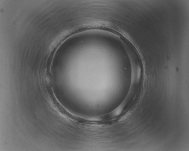 X0000052570485200507011224