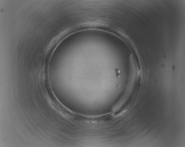 X0000052570486200507011224