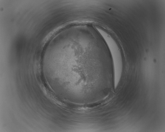 X0000052570487200507011224