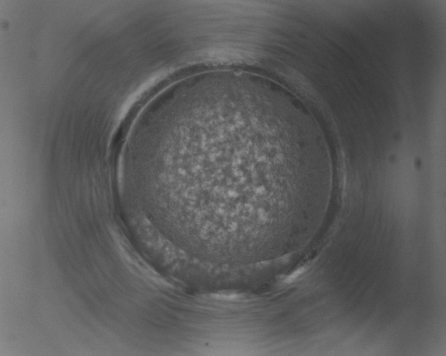 X0000052570488200507011224