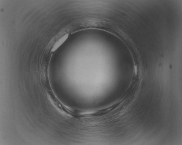 X0000052570489200507011224