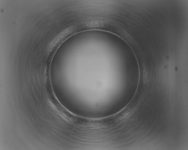 X0000052570490200507011224