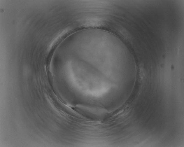 X0000052570491200507011224