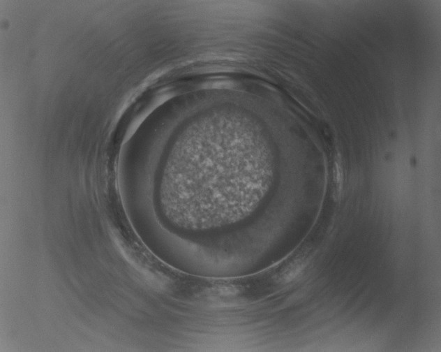 X0000052570492200507011224