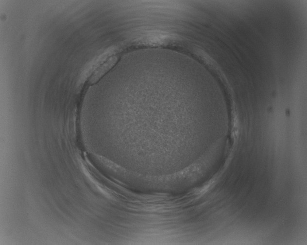 X0000052570493200507011224