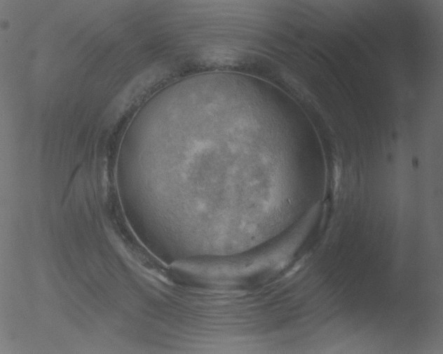 X0000052570494200507011224