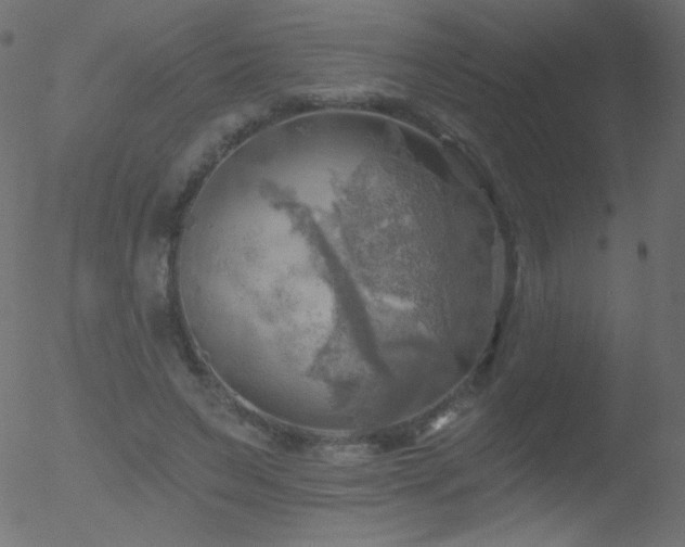 X0000052570495200507011224