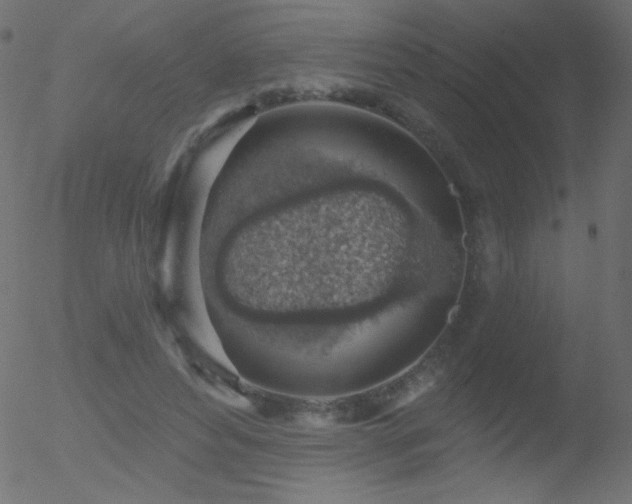 X0000052570496200507011224