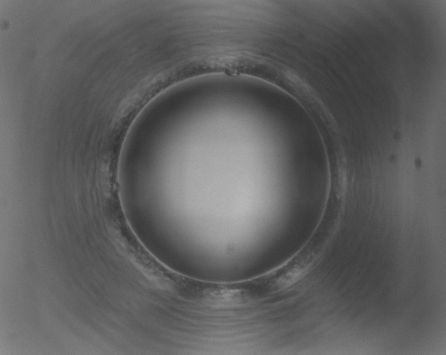 X0000052570497200507011224