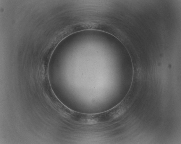 X0000052570498200507011224