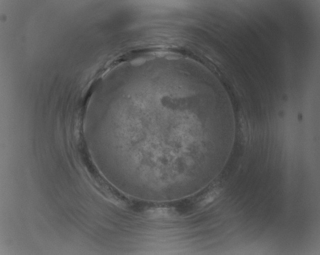 X0000052570499200507011224