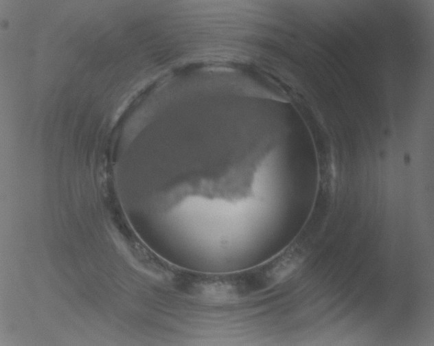 X0000052570500200507011224