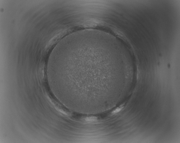 X0000052570501200507011224