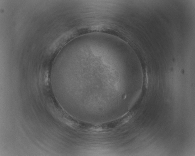 X0000052570502200507011224