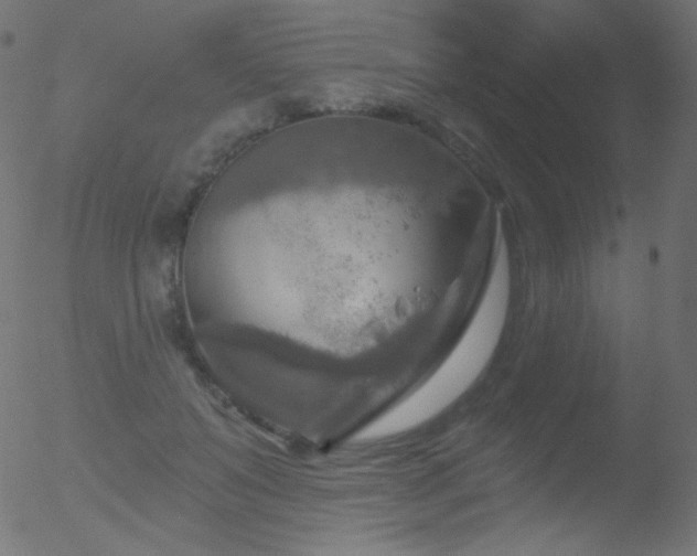 X0000052570503200507011224