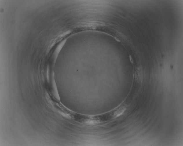 X0000052570504200507011224