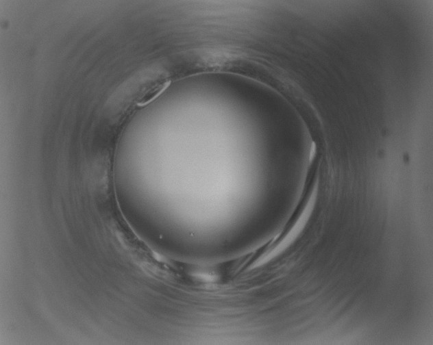 X0000052570505200507011224