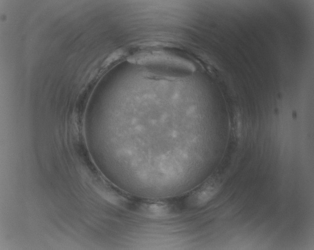 X0000052570506200507011224