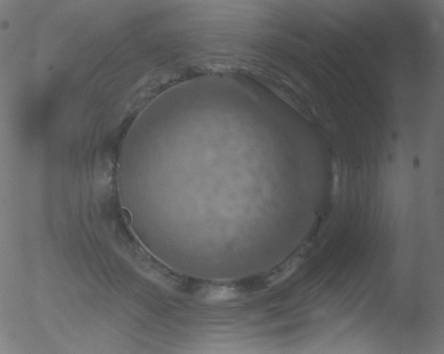 X0000052570507200507011224