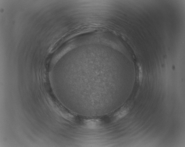 X0000052570508200507011224