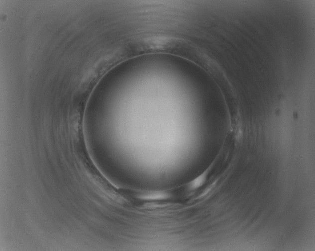 X0000052570509200507011224