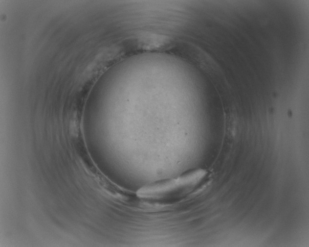 X0000052570510200507011224