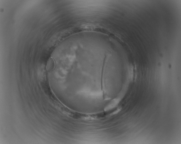 X0000052570511200507011224