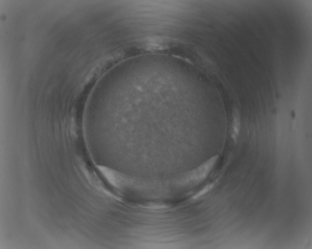 X0000052570512200507011224