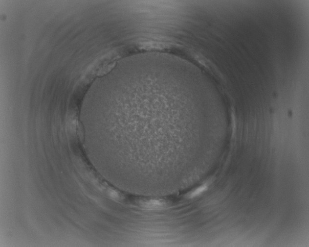 X0000052570513200507011224