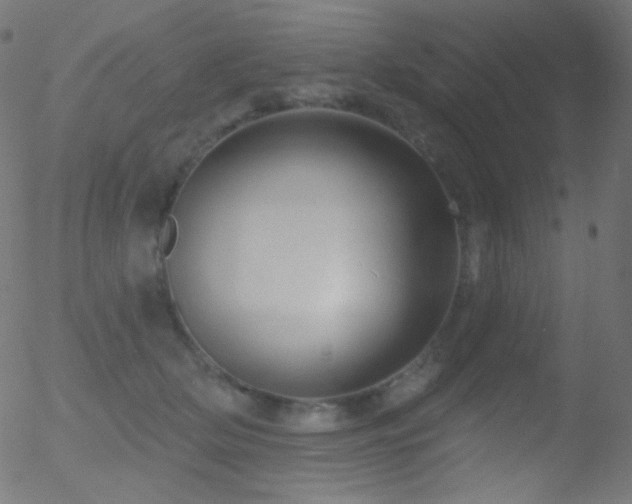 X0000052570514200507011224