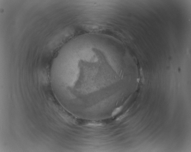 X0000052570515200507011224