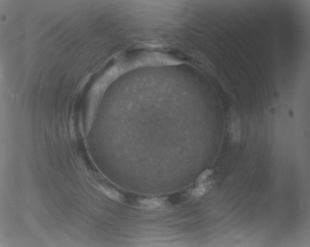 X0000052570516200507011224