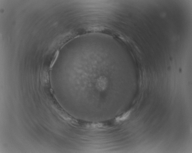 X0000052570517200507011224