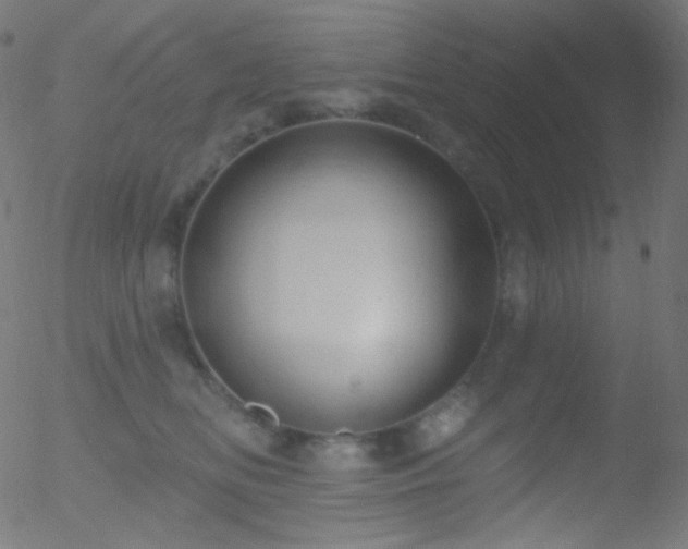 X0000052570518200507011224