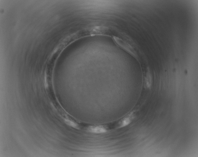 X0000052570520200507011224