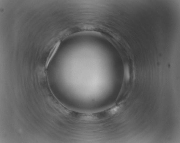 X0000052570521200507011224