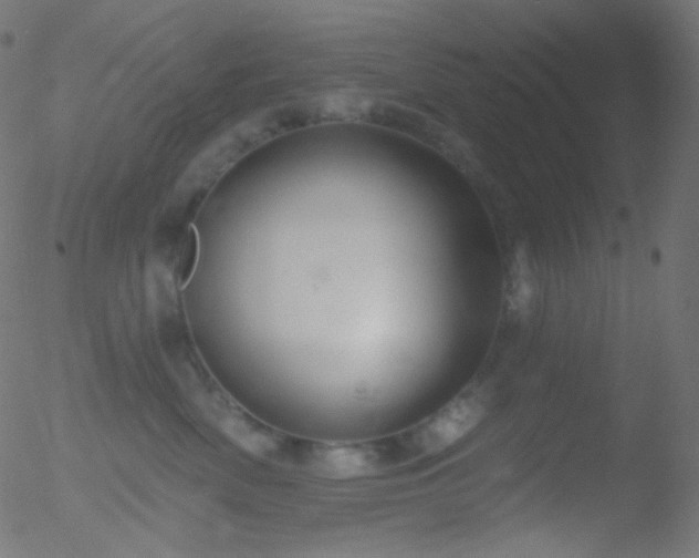 X0000052570522200507011224