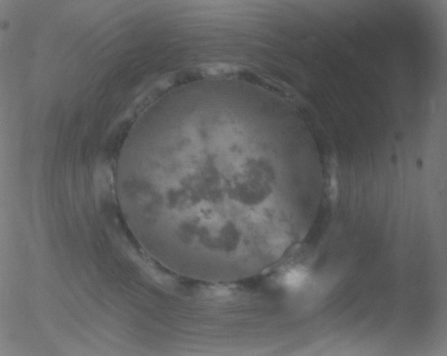 X0000052570523200507011224