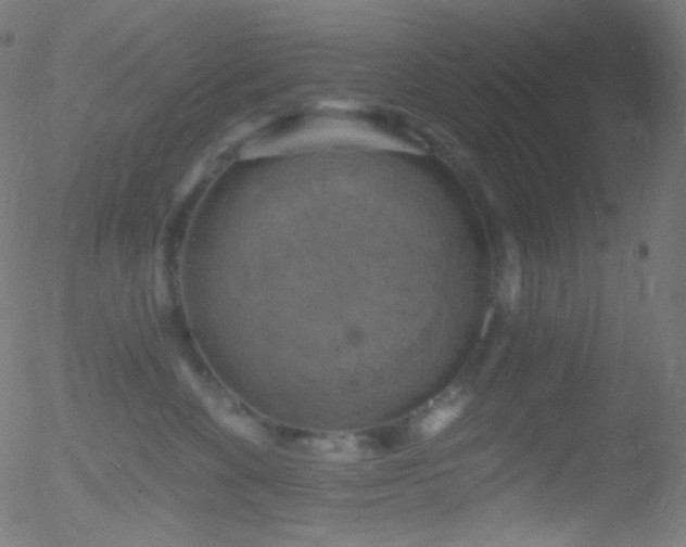 X0000052570524200507011224