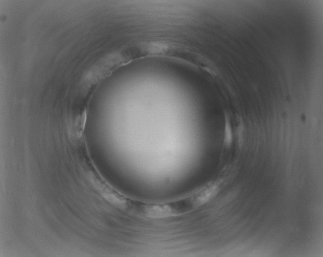 X0000052570525200507011224