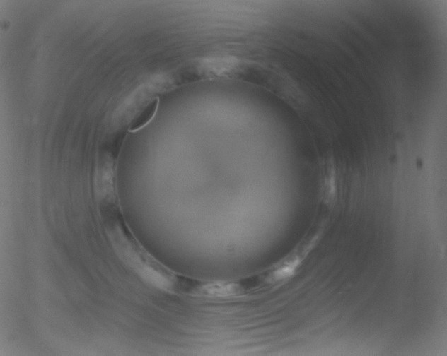 X0000052570526200507011224