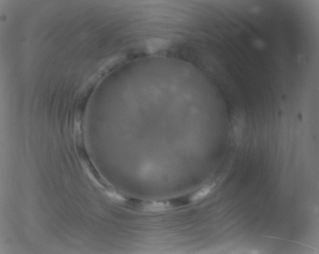 X0000052570527200507011224