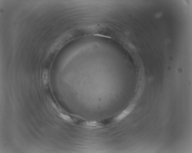 X0000052570528200507011224