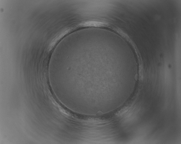 X0000052570529200507011223