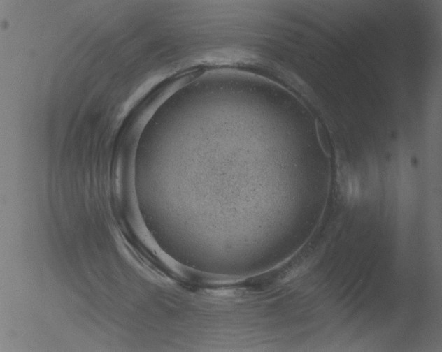 X0000052570530200507011223