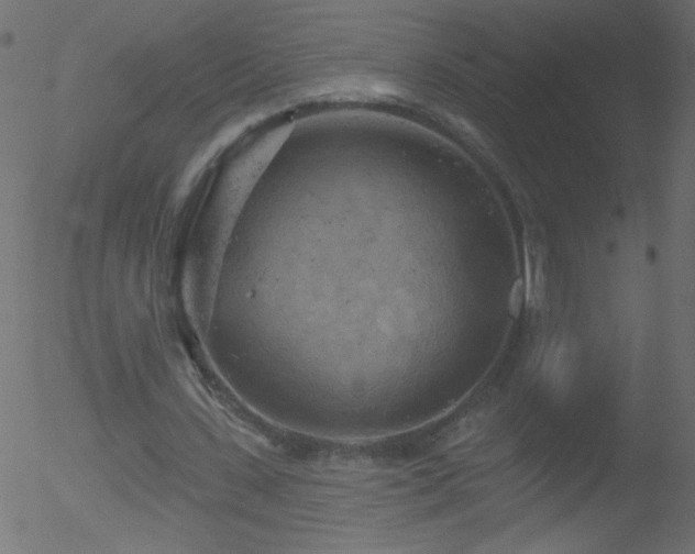 X0000052570531200507011223