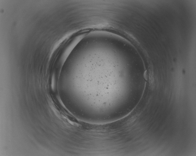 X0000052570532200507011223