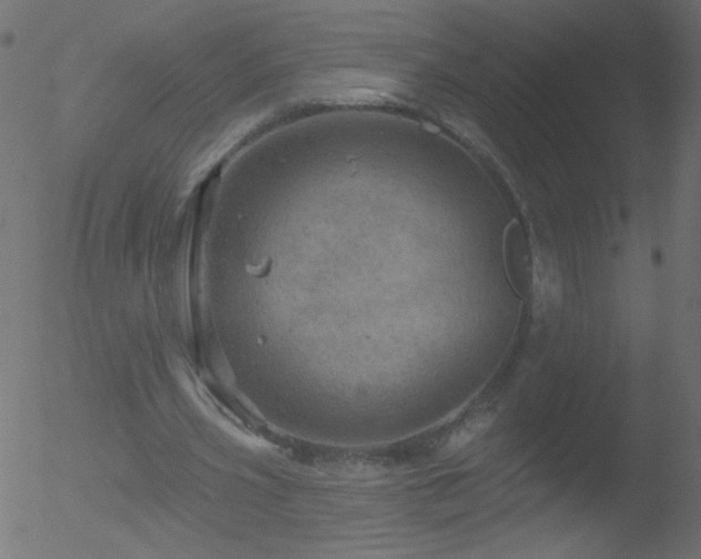 X0000052570533200507011223