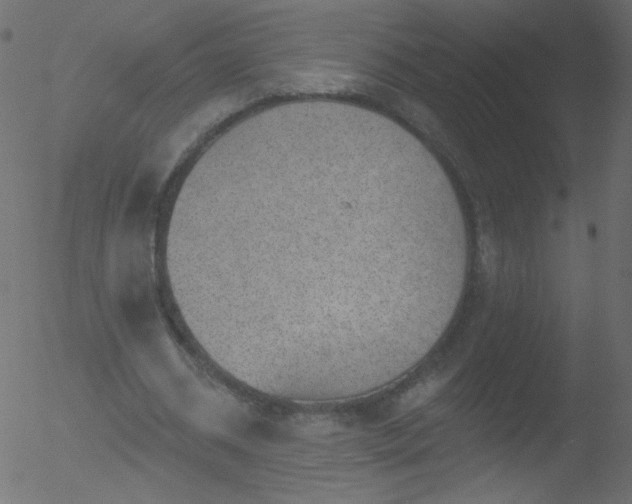 X0000052570534200507011223