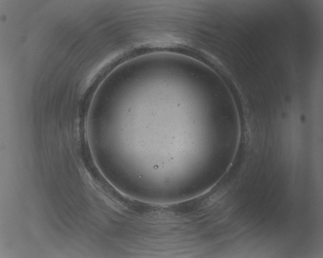 X0000052570535200507011223